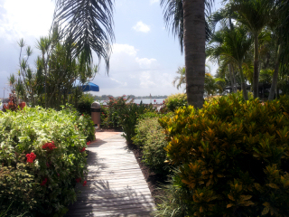 Smugglers Cove Pictures