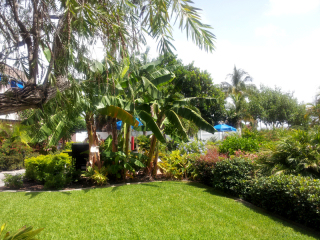 Smugglers Cove Pictures